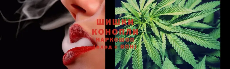 блэк спрут зеркало  Бахчисарай  Конопля Ganja  что такое наркотик 